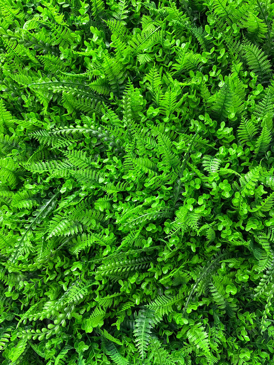 6FT Greenery Rental Backdrop