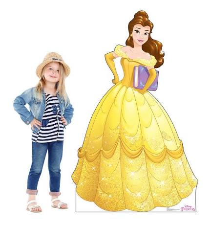 Belle Card box Rental Fee