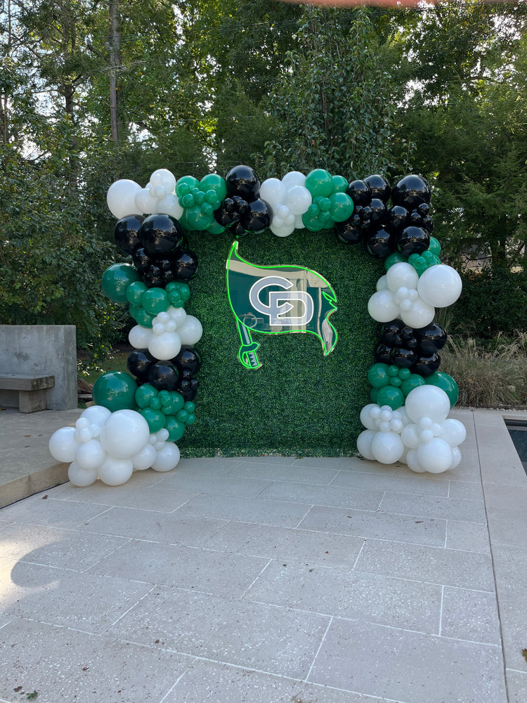 Balloon Arches