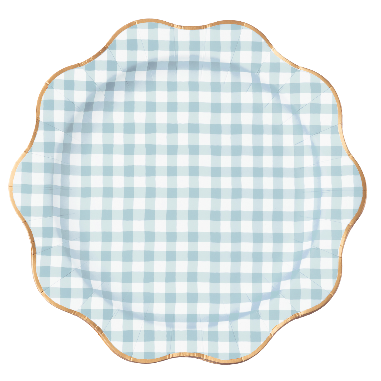 ELEGANT SKY BLUE GINGHAM DINNER PLATES